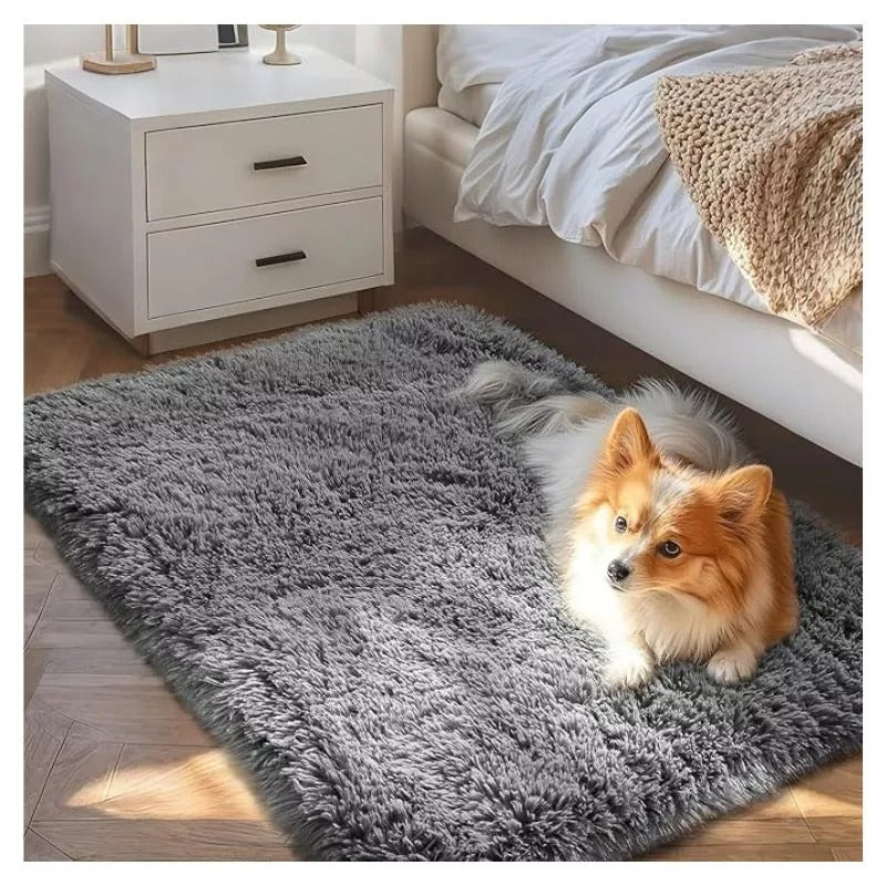 Ophanie Small Rug Upgrade Non Slip Throw Bedside Area Rugs, Fluffy Soft Grey Mini Bedroom Carpet, Affordable Door Entryway Indoor Inside Front Entrance Dog 2x3 Mat, Home Decor Aesthetic, Nursery